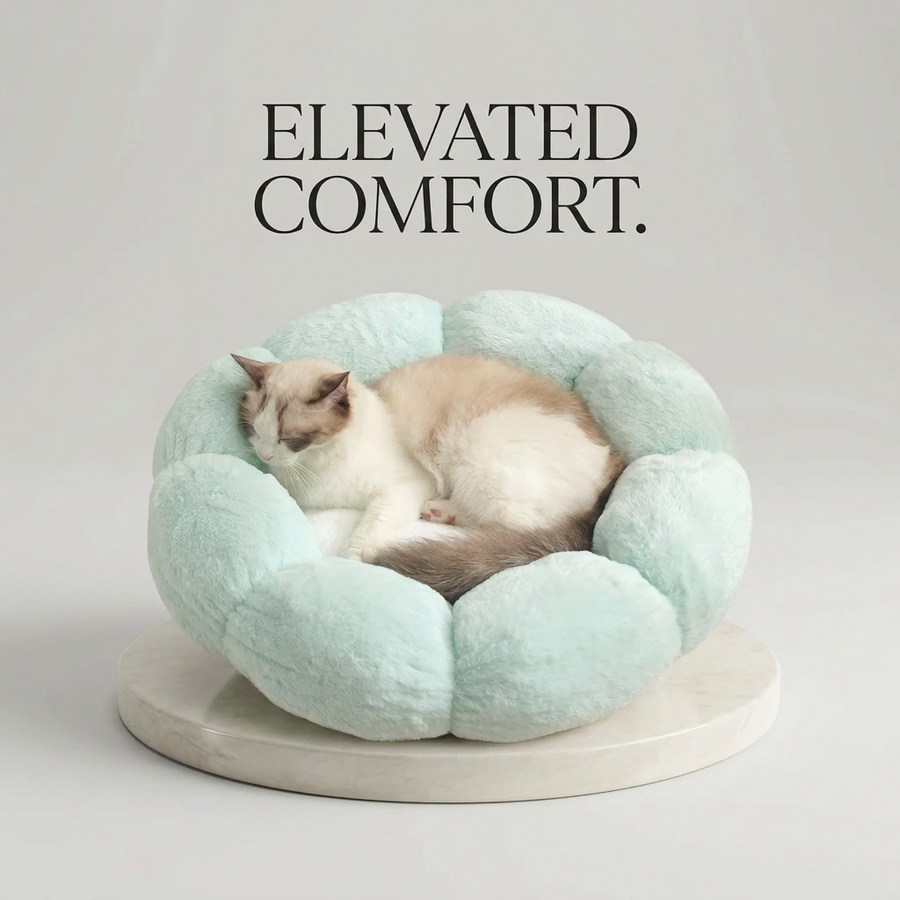 Beds & Comfort