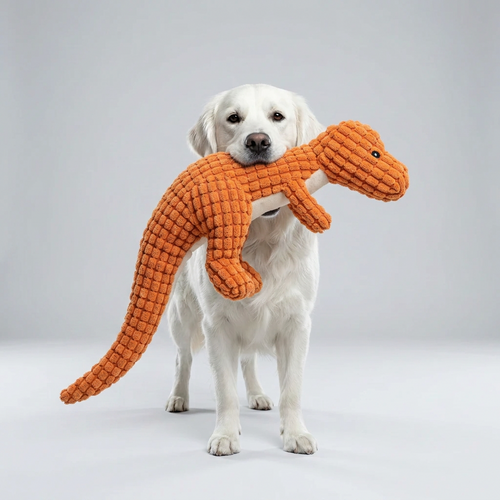 Dog Toys