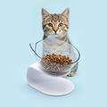 Elevated Kitten Food & Water Bowl