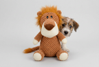 Plush Animal Dog Toy