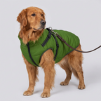 Warm Waterproof Dog Winter Jacket