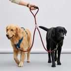 Dual Dog Leash – Braided Rope for Two Dogs
