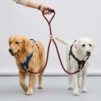 Dual Dog Leash – Braided Rope for Two Dogs