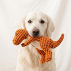 Giant Dinosaur Squeaky Dog Toy