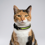 Reflective Adjustable Pet Collar