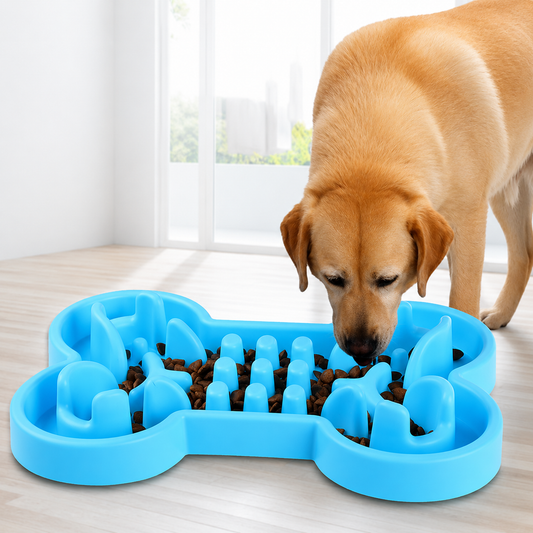 Interactive Bone-Shaped Slow Feeder Bowl for Dogs – Puzzle Feeding Toy