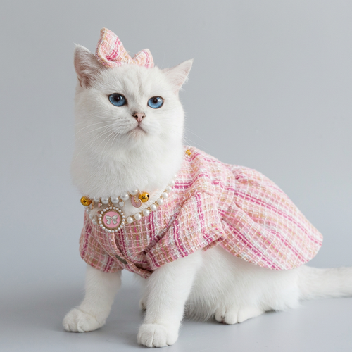 Classy & Stylish Suit for Cats & Dogs