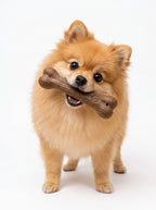 BarkBrite Multi-Action Dental Chew & Treat Dispenser